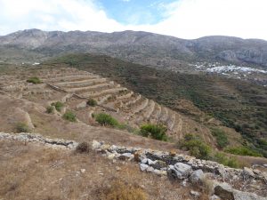 Terraces on the hillsides between Tholaria and Langada
